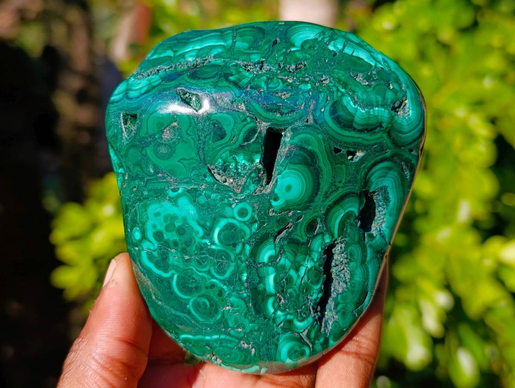 Polished Flower Banded Malachite Free Forms x 6 From Congo - Toprock Gemstones and Minerals 