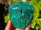 Polished Flower Banded Malachite Free Forms x 6 From Congo - Toprock Gemstones and Minerals 