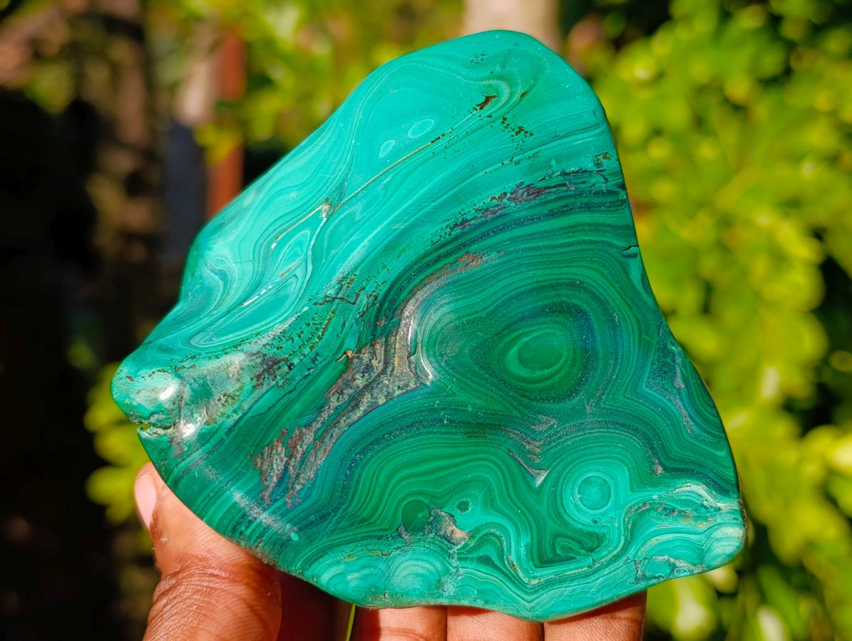 Polished Flower Banded Malachite Free Forms x 6 From Congo - Toprock Gemstones and Minerals 