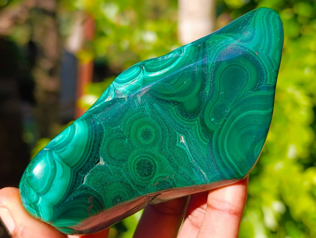 Polished Flower Banded Malachite Free Forms x 6 From Congo - Toprock Gemstones and Minerals 