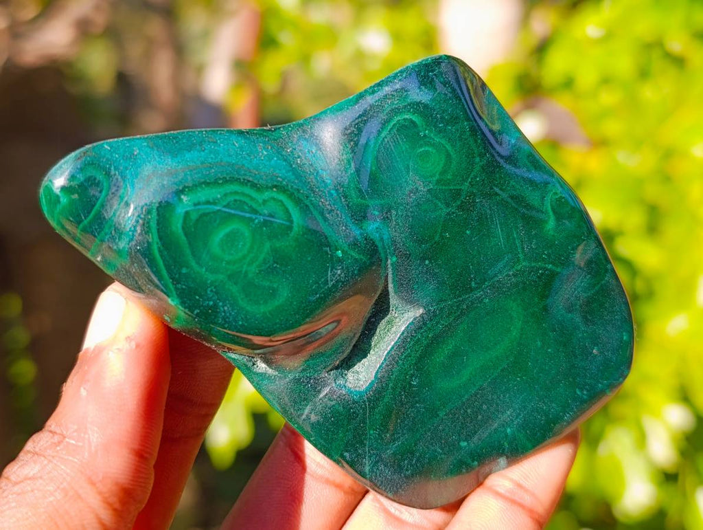 Polished Flower Banded Malachite Free Forms x 6 From Congo - Toprock Gemstones and Minerals 