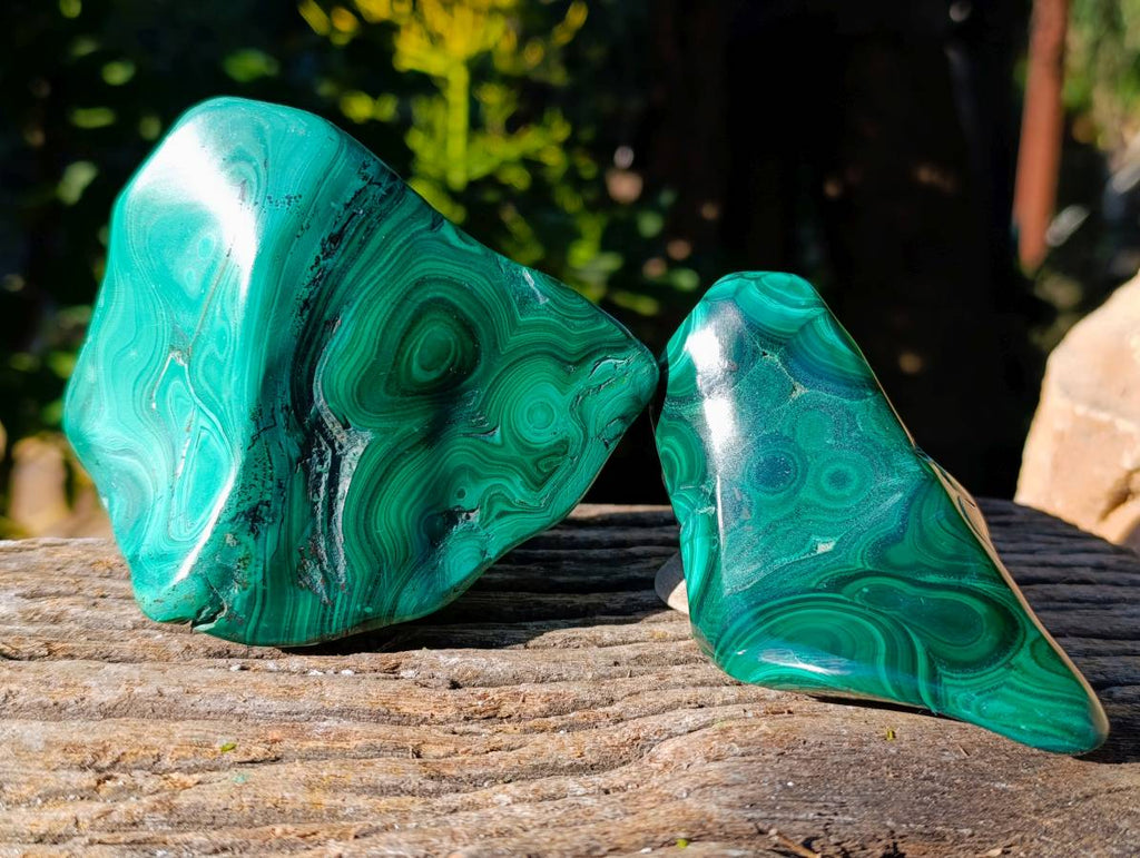 Polished Flower Banded Malachite Free Forms x 6 From Congo - Toprock Gemstones and Minerals 