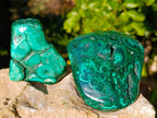 Polished Flower Banded Malachite Free Forms x 6 From Congo - Toprock Gemstones and Minerals 