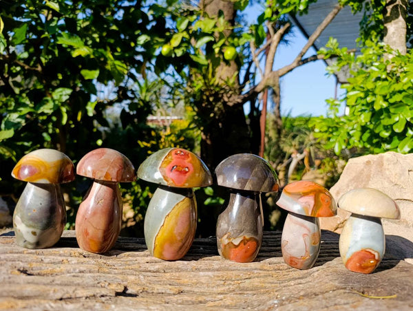 Polished Polychrome Jasper Mushrooms x 6 From Madagascar