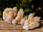 Natural Golden Limonite Coated Spirit Quartz Crystals x 35 From Boekenhouthoek, South Africa - Toprock Gemstones and Minerals 