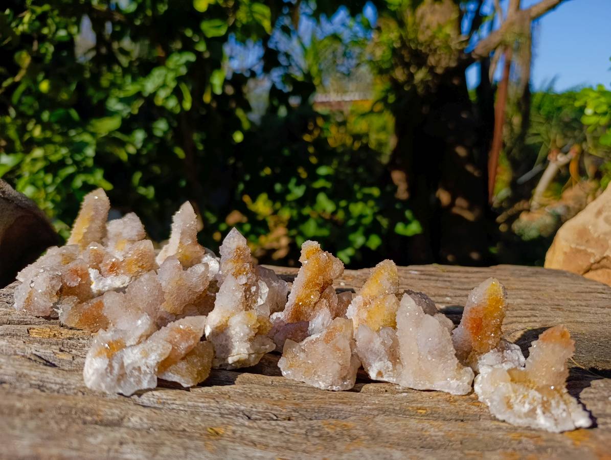 Natural Golden Limonite Coated Spirit Quartz Crystals x 35 From Boekenhouthoek, South Africa - Toprock Gemstones and Minerals 