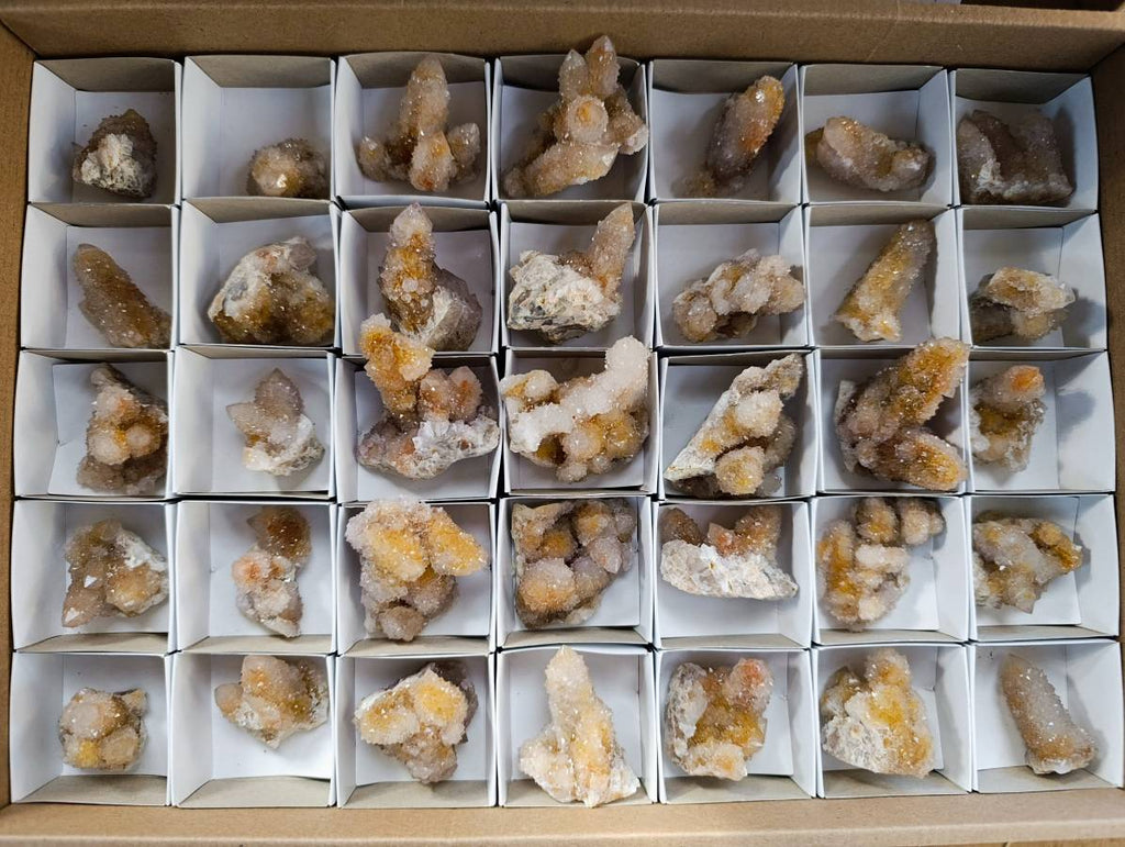 Natural Golden Limonite Coated Spirit Quartz Crystals x 35 From Boekenhouthoek, South Africa - Toprock Gemstones and Minerals 