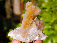 Natural Golden Limonite Coated Spirit Quartz Crystals x 35 From Boekenhouthoek, South Africa - Toprock Gemstones and Minerals 
