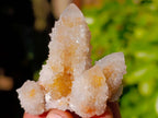 Natural Golden Limonite Coated Spirit Quartz Crystals x 35 From Boekenhouthoek, South Africa - Toprock Gemstones and Minerals 