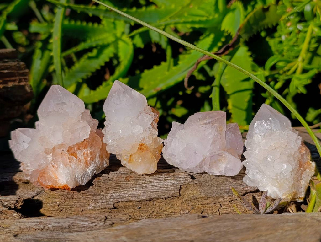Natural White Spirit Quartz Clusters x 12 From Boekenhouthoek, South Africa - Toprock Gemstones and Minerals 