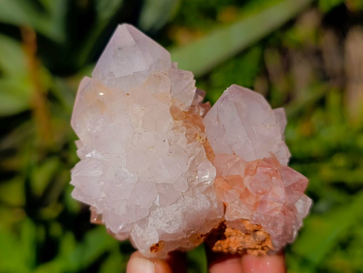 Natural White Spirit Quartz Clusters x 12 From Boekenhouthoek, South Africa - Toprock Gemstones and Minerals 