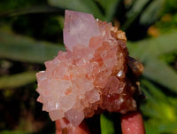 Natural White Spirit Quartz Clusters x 12 From Boekenhouthoek, South Africa