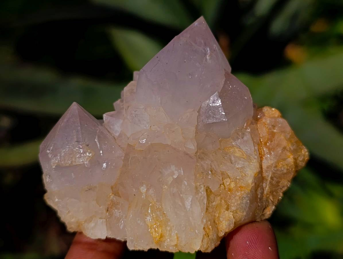 Natural White Spirit Quartz Clusters x 12 From Boekenhouthoek, South Africa - Toprock Gemstones and Minerals 