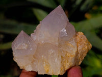 Natural White Spirit Quartz Clusters x 12 From Boekenhouthoek, South Africa