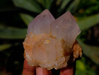Natural White Spirit Quartz Clusters x 12 From Boekenhouthoek, South Africa