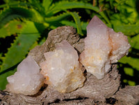 Natural White Spirit Quartz Clusters x 12 From Boekenhouthoek, South Africa
