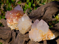 Natural White Spirit Quartz Clusters x 12 From Boekenhouthoek, South Africa