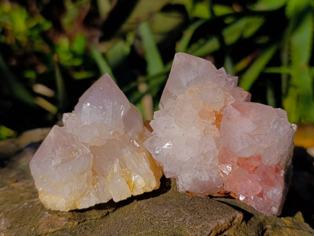Natural White Spirit Quartz Clusters x 12 From Boekenhouthoek, South Africa - Toprock Gemstones and Minerals 