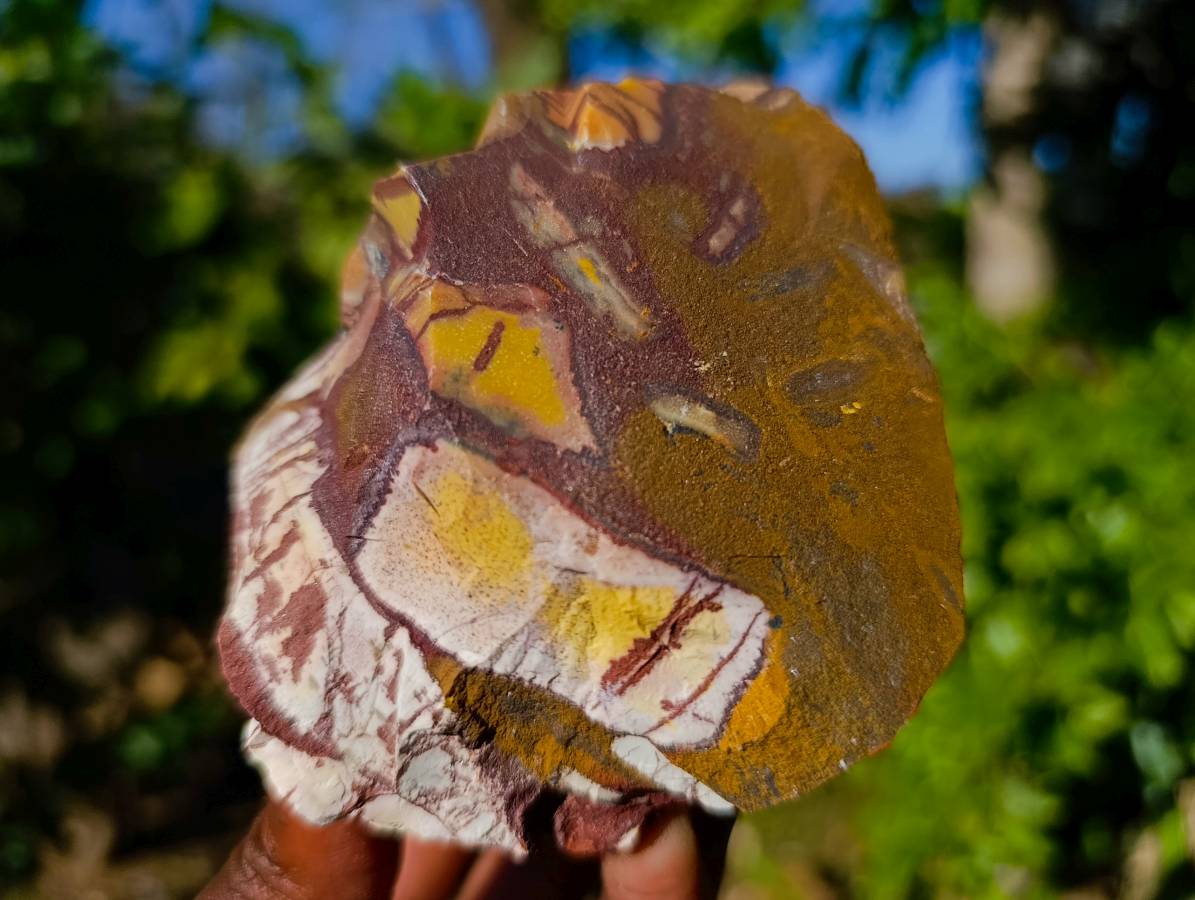 Natural Nguni Jasper Cobbed Specimens x 12 From Prieska, South Africa - Toprock Gemstones and Minerals 