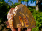 Natural Nguni Jasper Cobbed Specimens x 12 From Prieska, South Africa - Toprock Gemstones and Minerals 