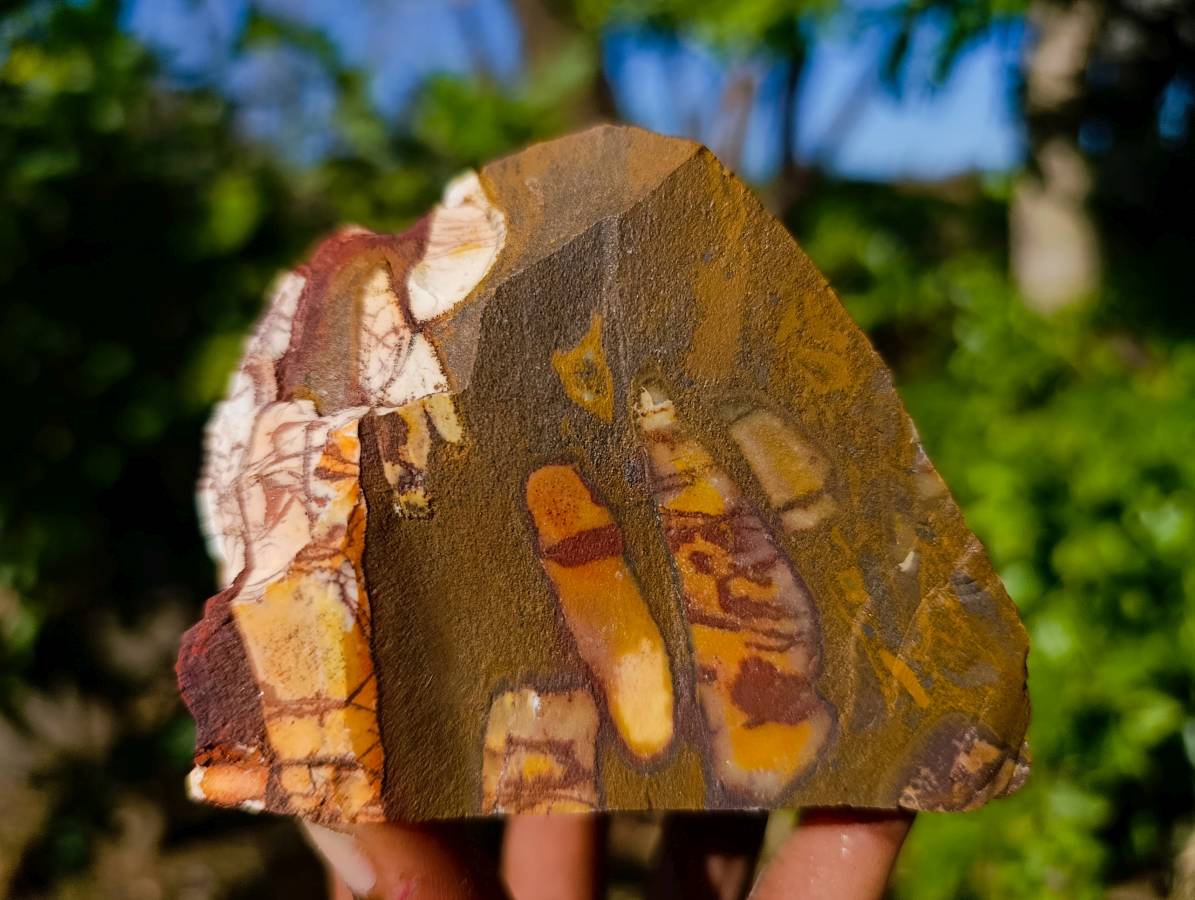 Natural Nguni Jasper Cobbed Specimens x 12 From Prieska, South Africa - Toprock Gemstones and Minerals 