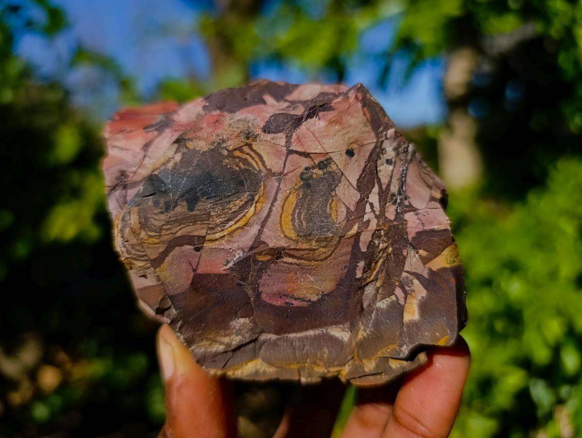 Natural Nguni Jasper Cobbed Specimens x 12 From Prieska, South Africa - Toprock Gemstones and Minerals 