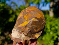 Natural Nguni Jasper Cobbed Specimens x 12 From Prieska, South Africa