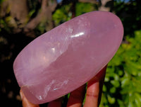Polished Gemmy Rose Quartz Standing Free Forms x 2 Ambatondrazaka, Madagascar - Toprock Gemstones and Minerals 