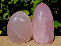 Polished Gemmy Rose Quartz Standing Free Forms x 2 Ambatondrazaka, Madagascar - Toprock Gemstones and Minerals 