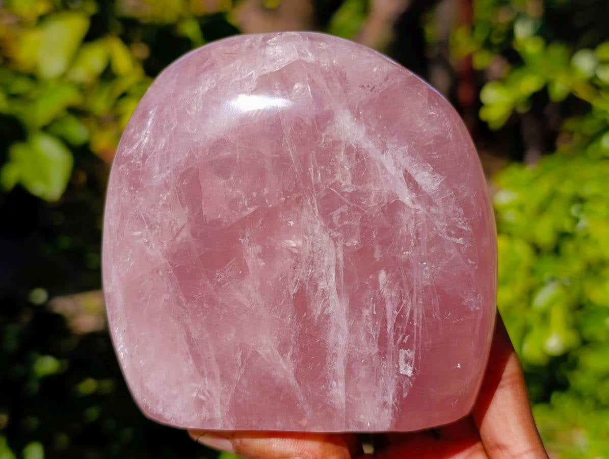 Polished Gemmy Rose Quartz Standing Free Forms x 2 Ambatondrazaka, Madagascar - Toprock Gemstones and Minerals 