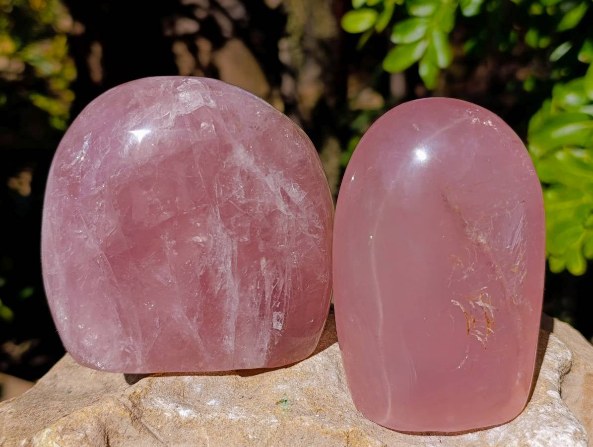 Polished Gemmy Rose Quartz Standing Free Forms x 2 Ambatondrazaka, Madagascar - Toprock Gemstones and Minerals 