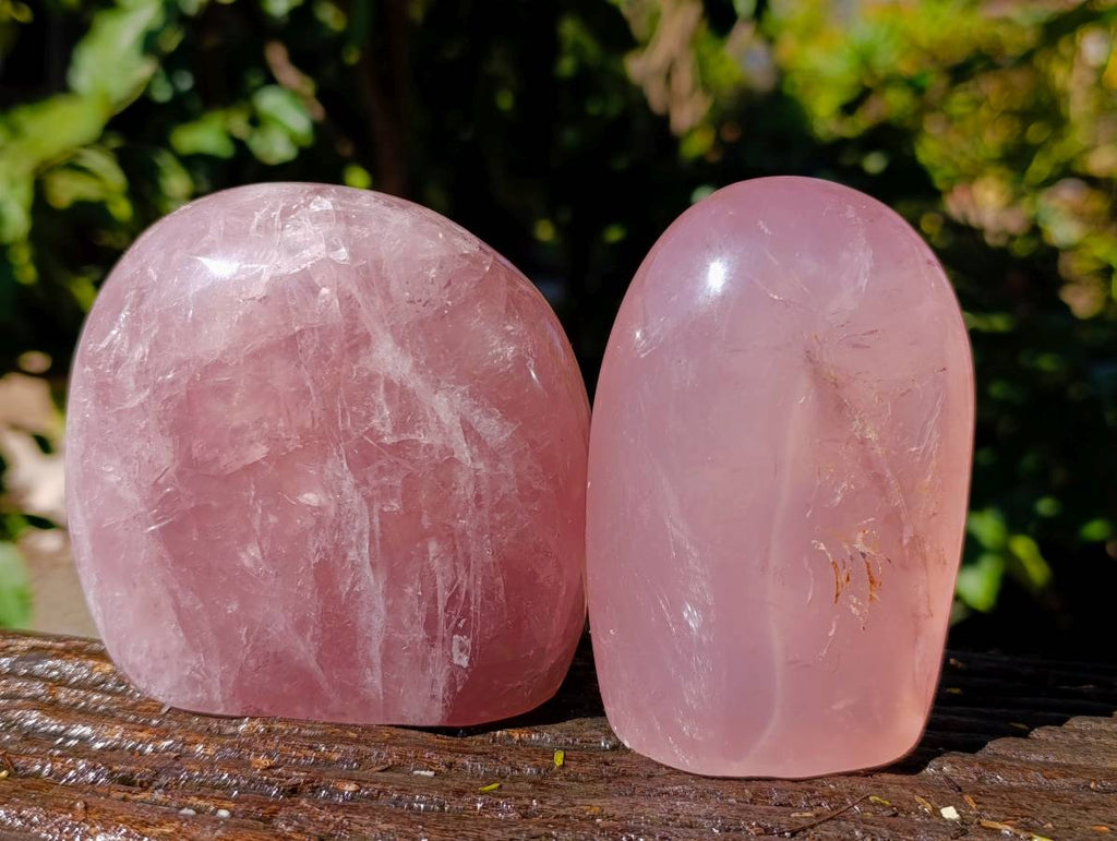 Polished Gemmy Rose Quartz Standing Free Forms x 2 Ambatondrazaka, Madagascar - Toprock Gemstones and Minerals 