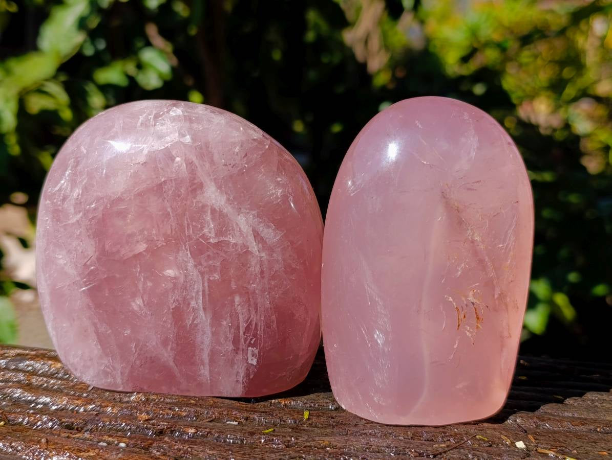 Polished Gemmy Rose Quartz Standing Free Forms x 2 Ambatondrazaka, Madagascar - Toprock Gemstones and Minerals 