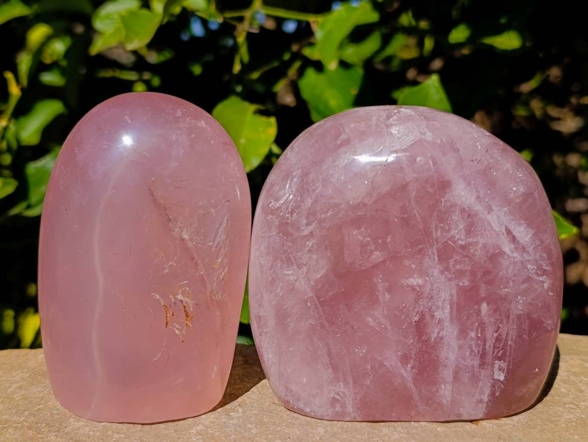 Polished Gemmy Rose Quartz Standing Free Forms x 2 Ambatondrazaka, Madagascar - Toprock Gemstones and Minerals 