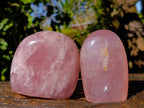 Polished Gemmy Rose Quartz Standing Free Forms x 2 Ambatondrazaka, Madagascar - Toprock Gemstones and Minerals 