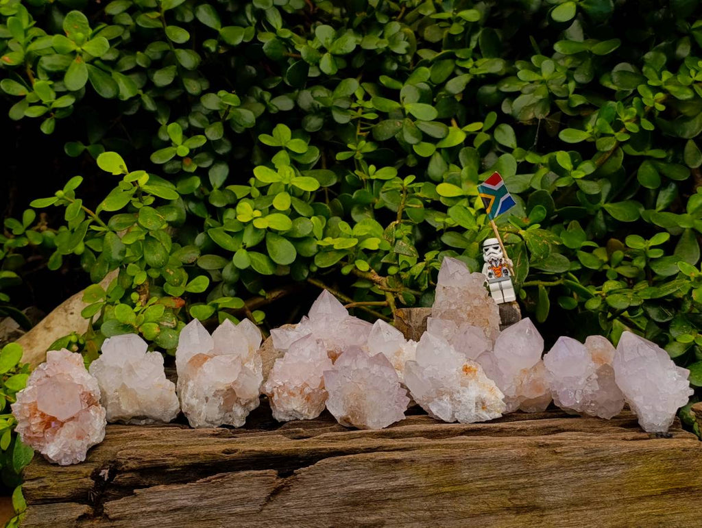 Natural White Spirit Quartz Clusters x 12 From Boekenhouthoek, South Africa - Toprock Gemstones and Minerals 