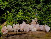 Natural White Spirit Quartz Clusters x 12 From Boekenhouthoek, South Africa