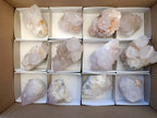 Natural White Spirit Quartz Clusters x 12 From Boekenhouthoek, South Africa - Toprock Gemstones and Minerals 