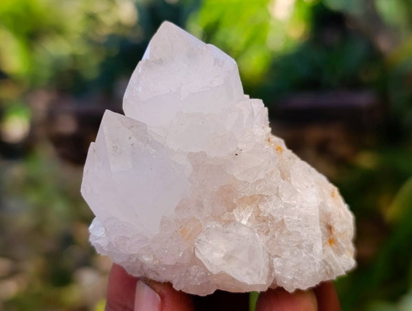 Natural White Spirit Quartz Clusters x 12 From Boekenhouthoek, South Africa