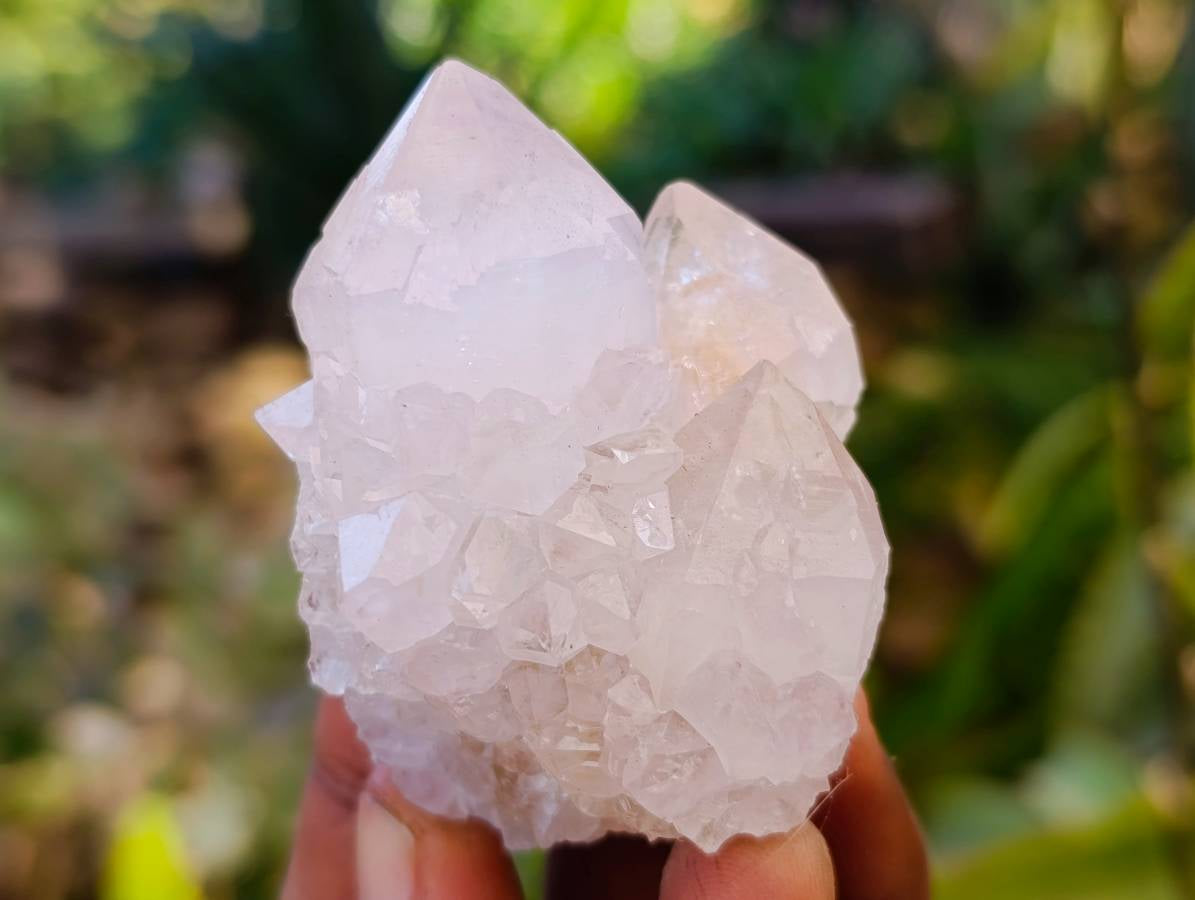 Natural White Spirit Quartz Clusters x 12 From Boekenhouthoek, South Africa - Toprock Gemstones and Minerals 