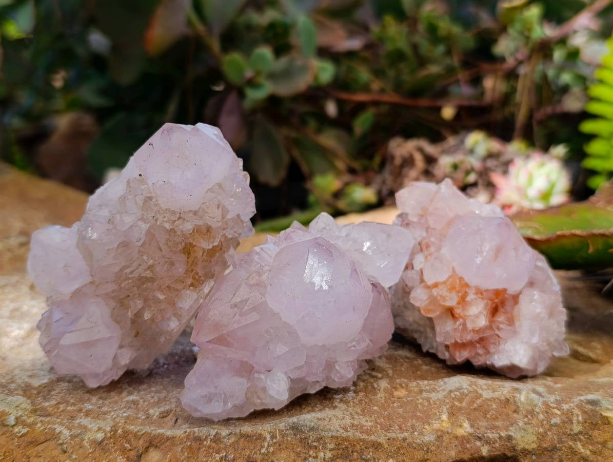 Natural White Spirit Quartz Clusters x 12 From Boekenhouthoek, South Africa - Toprock Gemstones and Minerals 