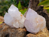Natural White Spirit Quartz Clusters x 12 From Boekenhouthoek, South Africa
