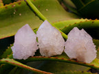 Natural White Spirit Quartz Clusters x 12 From Boekenhouthoek, South Africa - Toprock Gemstones and Minerals 