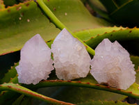 Natural White Spirit Quartz Clusters x 12 From Boekenhouthoek, South Africa