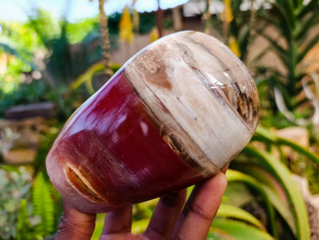 Polished Fossilized Podocarpus Petrified Wood Standing Free forms x 3 From Mahajanga, Madagascar - Toprock Gemstones and Minerals 