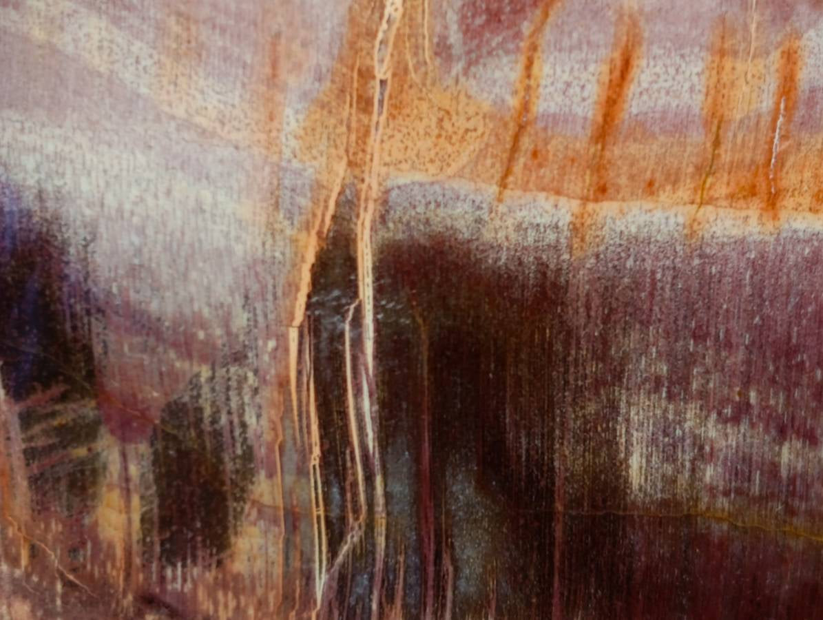 Polished Fossilized Podocarpus Petrified Wood Standing Free forms x 3 From Mahajanga, Madagascar - Toprock Gemstones and Minerals 