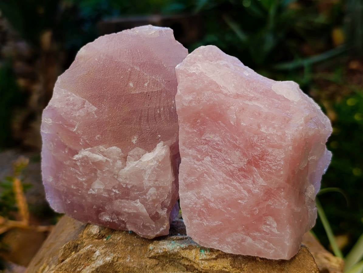 Natural Pink Rose Quartz Cobbed Specimens x 12 From North Cape, South Africa - Toprock Gemstones and Minerals 