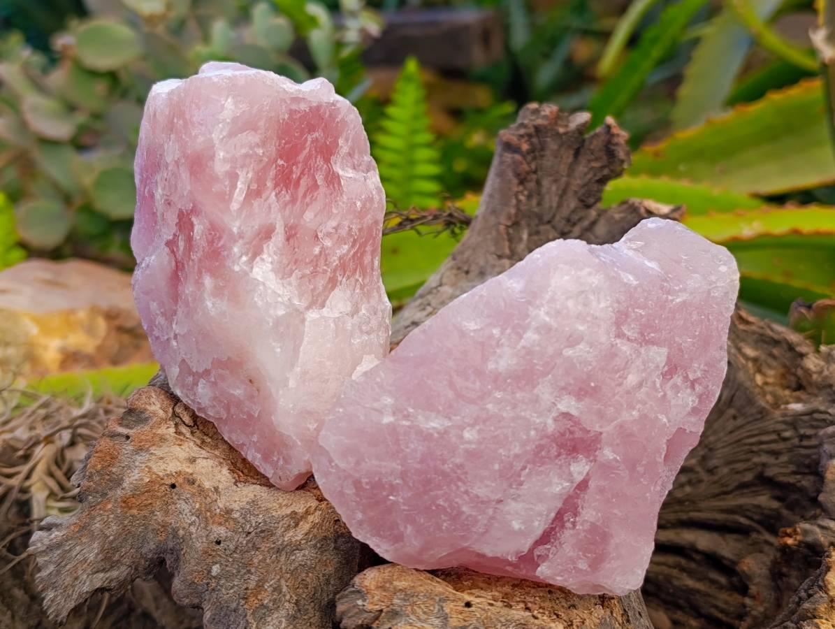 Natural Pink Rose Quartz Cobbed Specimens x 12 From North Cape, South Africa - Toprock Gemstones and Minerals 