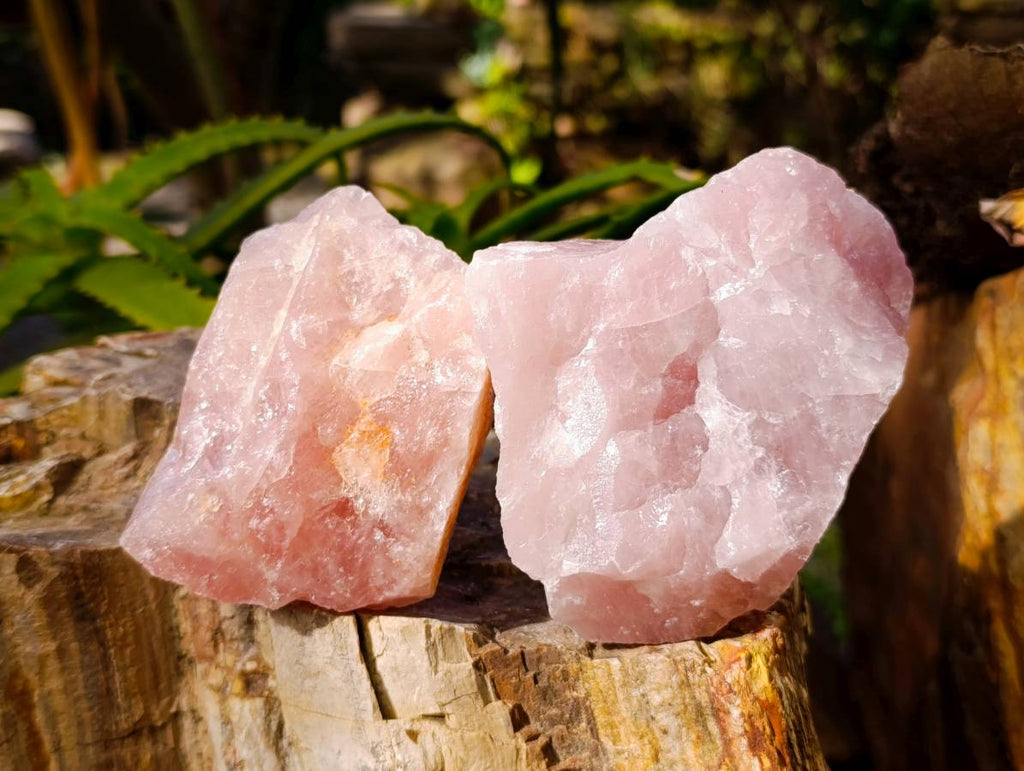 Natural Pink Rose Quartz Cobbed Specimens x 12 From North Cape, South Africa - Toprock Gemstones and Minerals 