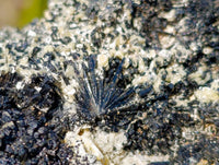 Natural Schorl Black Tourmaline, Smokey Quartz and Hyalite Opal Specimens x 3 From Erongo, Namibia